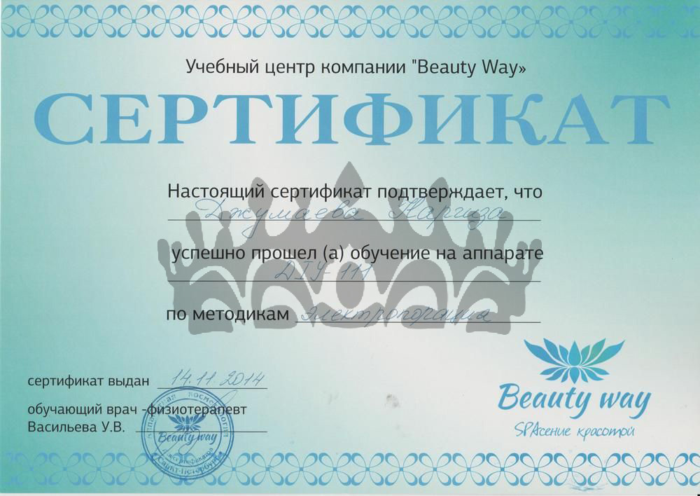 Сертификат Джумаева Н.Ч. - Электропорация на DIY-111