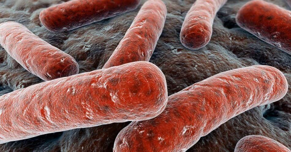 вредоносные бактерии как причина появления гнойных выделений 